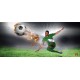 Photo mural football player with ball on dark gray background