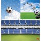 Photo mural collage on the theme football