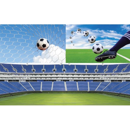 Photo mural collage on the theme football
