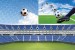 Photo mural collage on the theme football