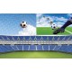 Photo mural collage on the theme football