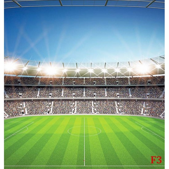 Photo mural scenic stadium and clear blue sky Photo mural scenic stadium and clear blue sky
