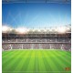 Photo mural scenic stadium and clear blue sky Photo mural scenic stadium and clear blue sky