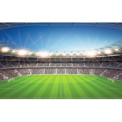 Photo mural scenic stadium and clear blue sky