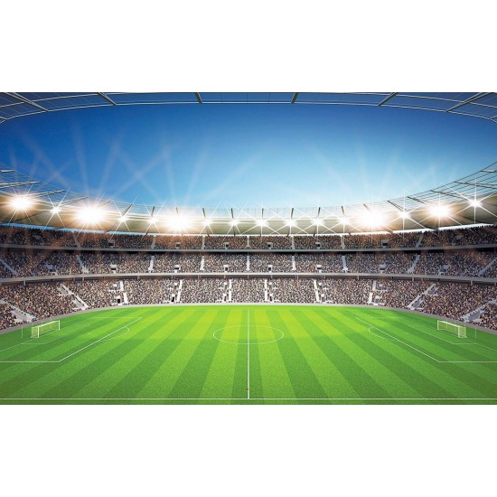 Photo mural scenic stadium and clear blue sky Photo mural scenic stadium and clear blue sky