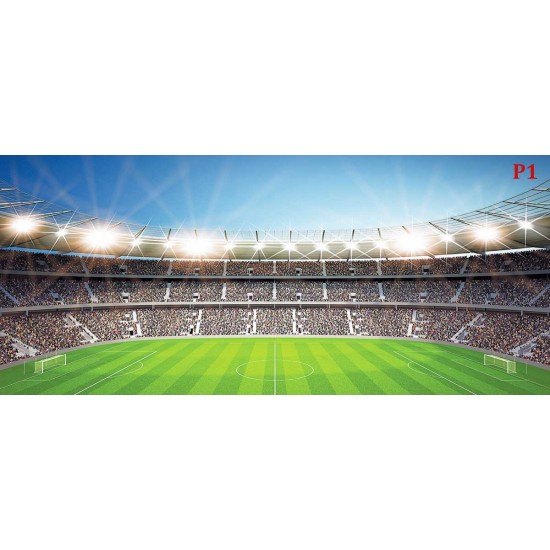 Photo mural scenic stadium and clear blue sky Photo mural scenic stadium and clear blue sky
