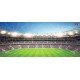 Photo mural scenic stadium and clear blue sky Photo mural scenic stadium and clear blue sky