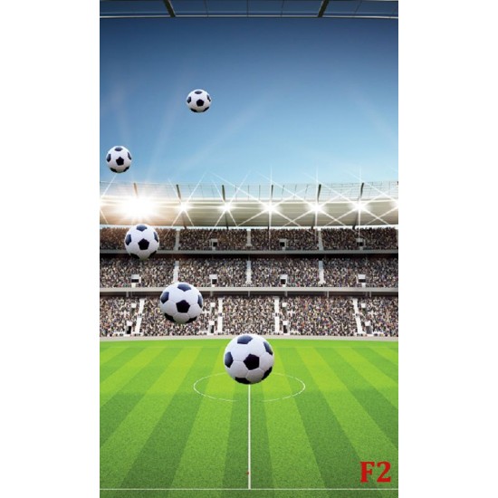 Photo mural scenic stadium clear blue skya and football