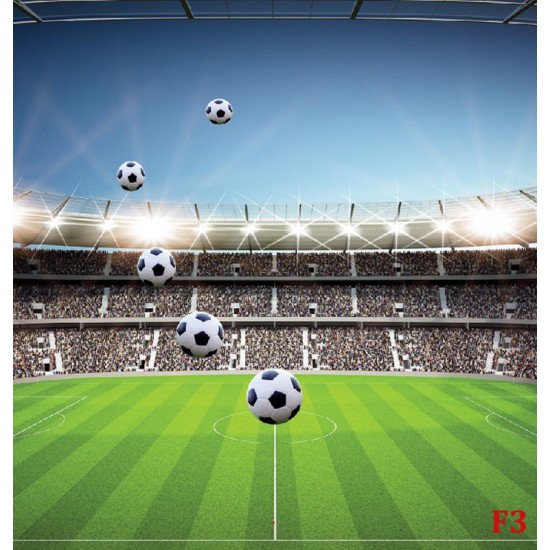 Photo mural scenic stadium clear blue skya and football