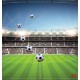 Photo mural scenic stadium clear blue skya and football
