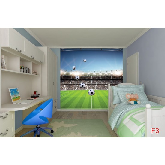 Photo mural scenic stadium clear blue skya and football