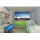 Photo mural scenic stadium clear blue skya and football
