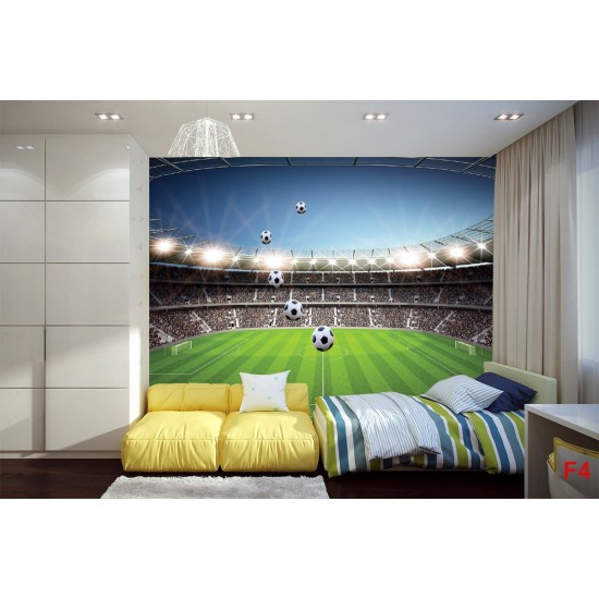 Photo mural scenic stadium clear blue skya and football