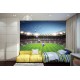 Photo mural scenic stadium clear blue skya and football