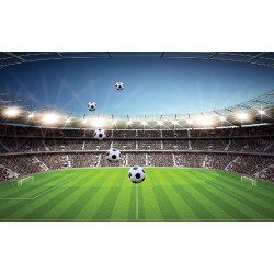 Photo mural scenic stadium clear blue skya and football Photo mural scenic stadium clear blue skya and football