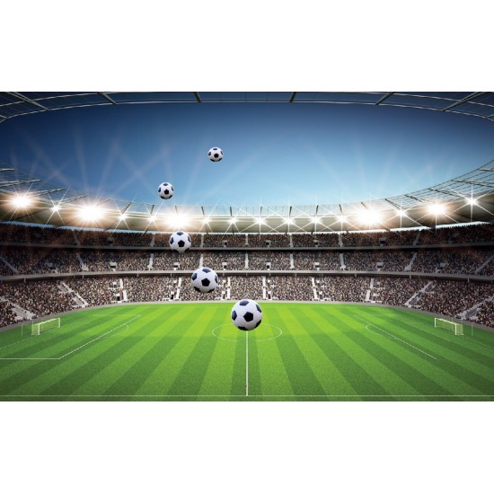 Photo mural scenic stadium clear blue skya and football