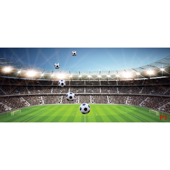 Photo mural scenic stadium clear blue skya and football