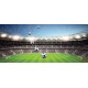 Photo mural scenic stadium clear blue skya and football