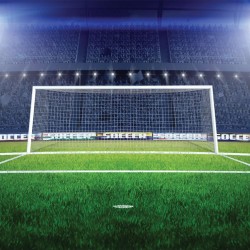 Wallpapers mural stadium'lights with a big door