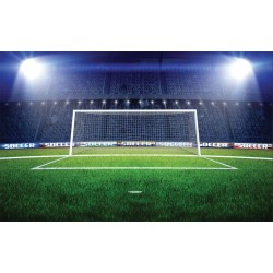 Wallpapers mural stadium'lights with a big door
