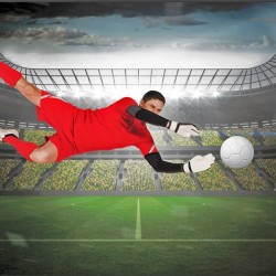 Wallpapers mural stadium with a football player in a red outfit