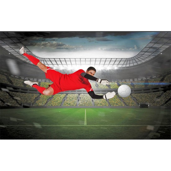 Wallpapers mural stadium with a football player in a red outfit