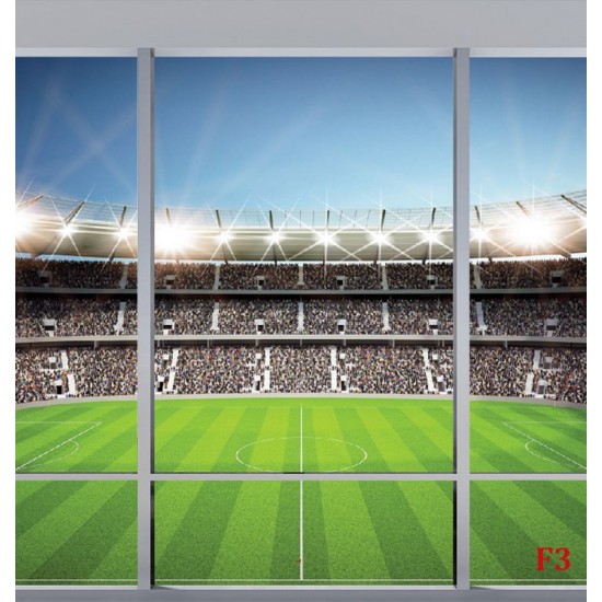Wallpapers mural Imitation window color stadium in 2 variants