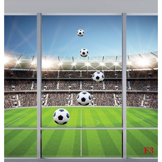 Wallpapers mural Imitation window color stadium in 2 variants