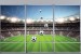 Wallpapers mural Imitation window color stadium in 2 variants