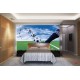 Wallpapers mural football boots and a ball Wallpapers mural football boots and a ball