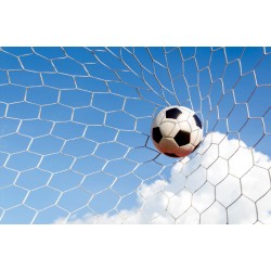 Wallpapers mural football ball in the net Wallpapers mural football ball in the net