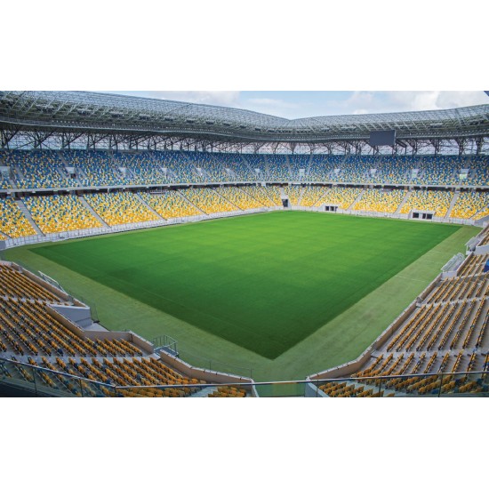 Photo mural big stadium view