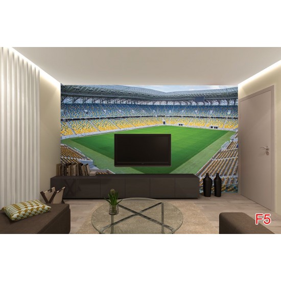 Photo mural big stadium view