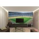 Photo mural big stadium view