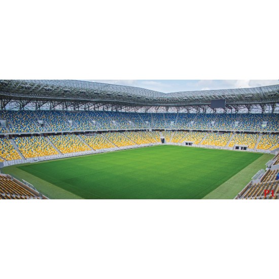Photo mural big stadium view