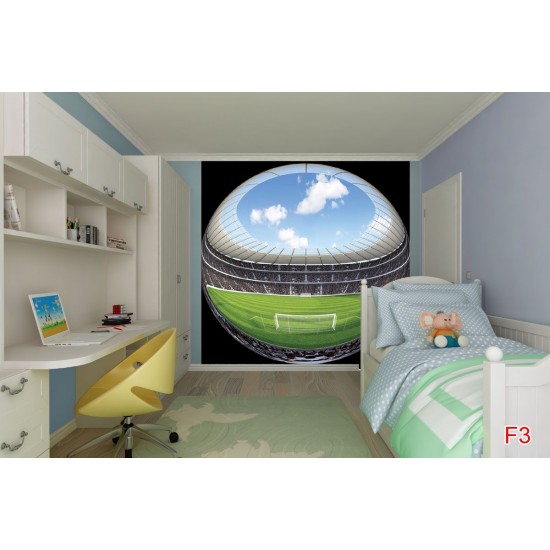 Wallpapers mural spherical football field Wallpapers mural spherical football field