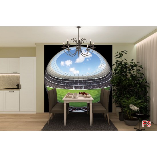 Wallpapers mural spherical football field Wallpapers mural spherical football field