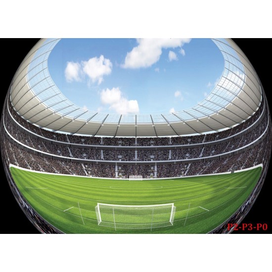 Wallpapers mural spherical football field Wallpapers mural spherical football field