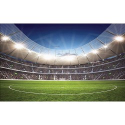 Wallpapers mural stadium at night light
