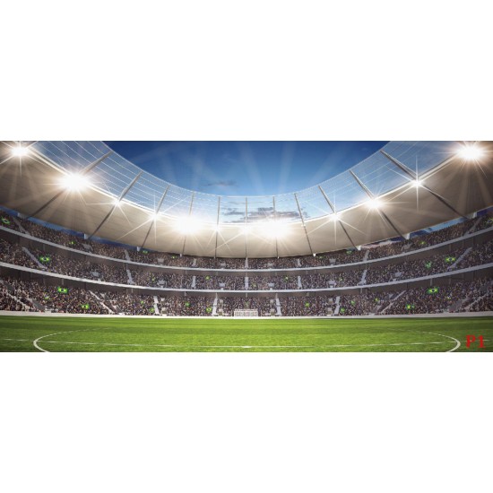 Wallpapers mural stadium at night light