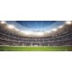 Wallpapers mural stadium at night light