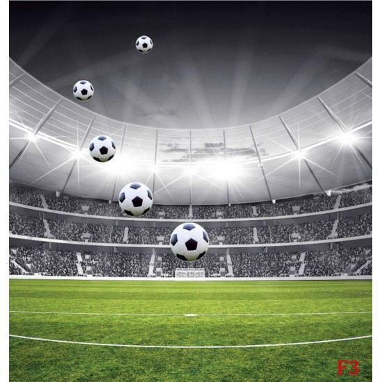 Wallpapers mural stadium in black and green range 2 versions Wallpapers mural stadium in black and green range 2 versions