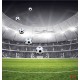 Wallpapers mural stadium in black and green range 2 versions Wallpapers mural stadium in black and green range 2 versions