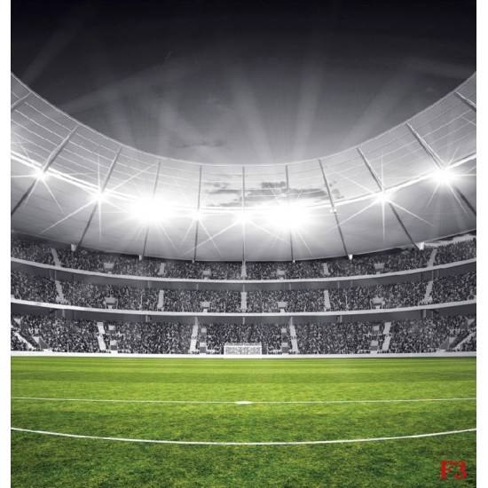 Wallpapers mural stadium in black and green range 2 versions Wallpapers mural stadium in black and green range 2 versions