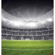 Wallpapers mural stadium in black and green range 2 versions Wallpapers mural stadium in black and green range 2 versions