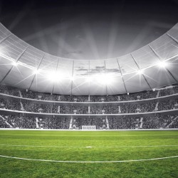 Wallpapers mural stadium in black and green range 2 versions Wallpapers mural stadium in black and green range 2 versions