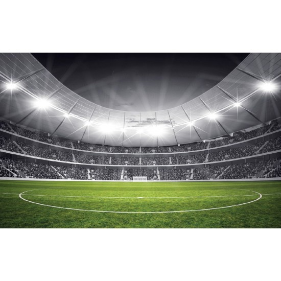 Wallpapers mural stadium in black and green range 2 versions Wallpapers mural stadium in black and green range 2 versions