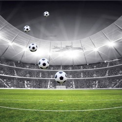 Wallpapers mural stadium in black and green range 2 versions