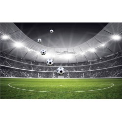 Wallpapers mural stadium in black and green range 2 versions