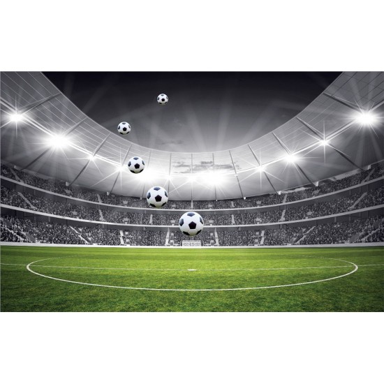 Wallpapers mural stadium in black and green range 2 versions Wallpapers mural stadium in black and green range 2 versions